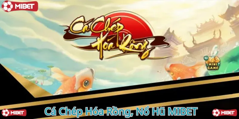 Cá Chép Hóa Rồng MIBET